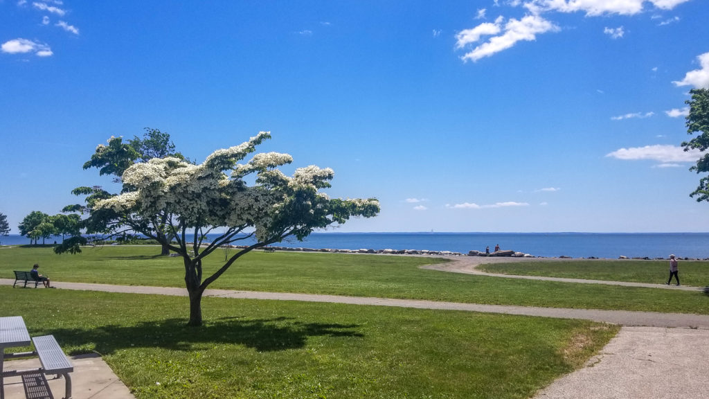 Connecticut Trails Day 2022 The Friends of Sherwood Island State